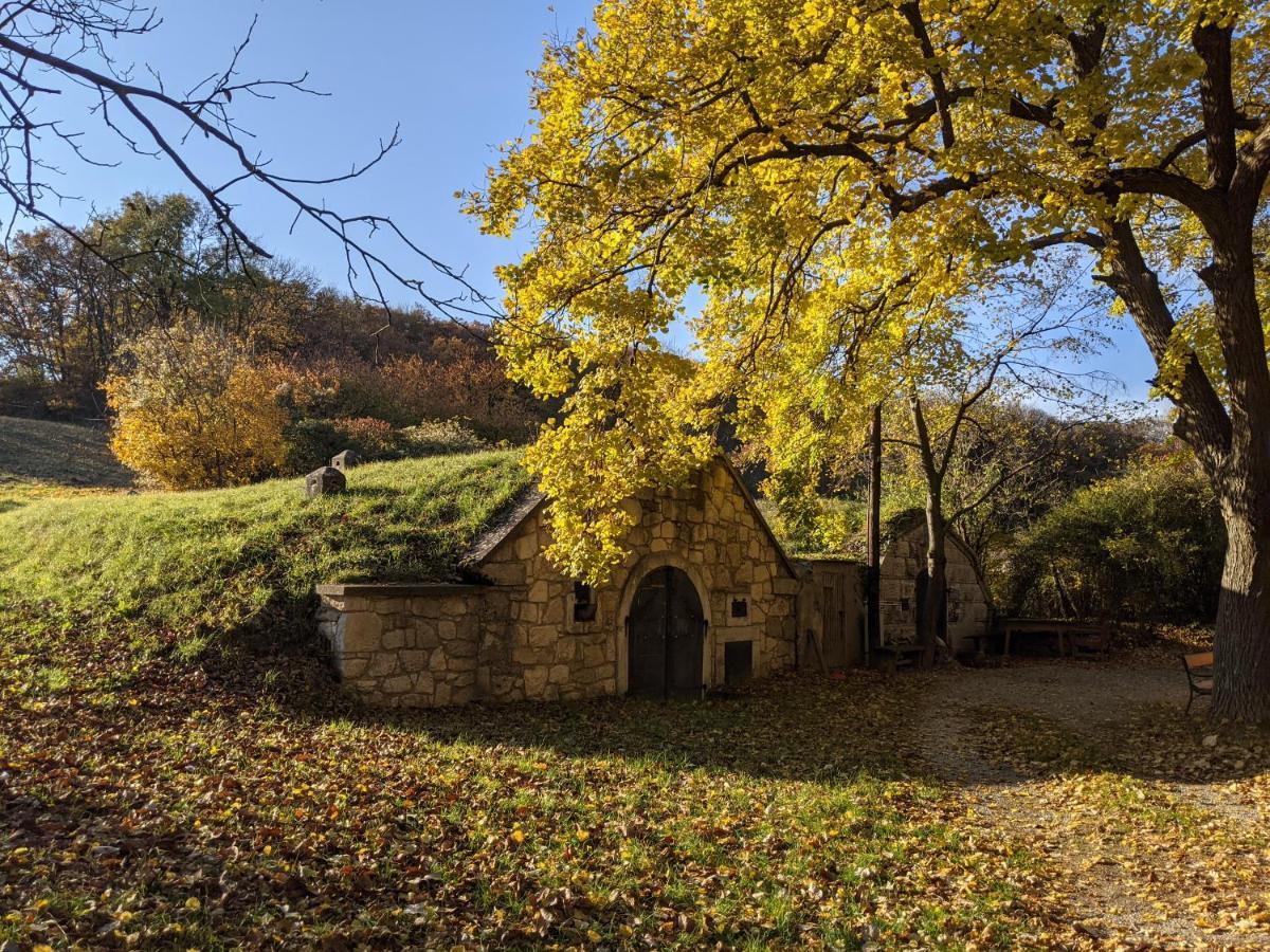 Villa Bonito - Historischer Streckhof à Schützen am Gebirge Extérieur photo